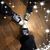 Gina Caporale Bonnes's profile image