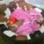 Jahna Wilmott's profile image