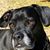 Madeline Maschi Acevedo's profile image