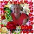 Helen Pariza's profile image