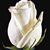 Stacy Reisinger Thran's profile image
