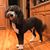 Bill Berdelman's profile image