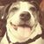Christie M Armstrong's profile image