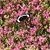 Annette Schall's profile image