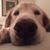 Ann Mittelstead's profile image