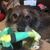 Raymond Sipes's profile image
