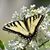 Darleen Morgan's profile image