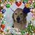 Judy Gatrell Cooper's profile image