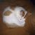 Tiff Johans's profile image