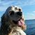 Ann Margaret Clermont's profile image