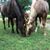 Bobbi Washburn's profile image