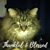 Melissa J Dant's profile image