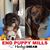 Kim Miller's profile image