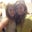 Lindsay Allee's profile image
