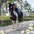 Lisa Sacco Clark's profile image