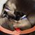 Janell Cameron's profile image