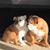 Marianne Thomas's profile image