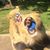 Jeffrey Schrad's profile image