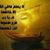زينة نحول's profile image
