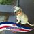 Mark Guy's profile image