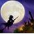 Stephanie Seyr's profile image