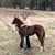 Charidy McWilliams's profile image