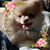 Trina Blom's profile image