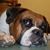 Debi Insua-White's profile image