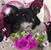 Norma Davila's profile image