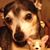 Marla Firm Costello's profile image