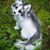 Sylvia Abbott-Bolduc's profile image