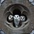 Edward Gillette's profile image