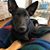 Monica Dee Dee Schroeder's profile image