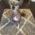Jamie Wicks Kissel's profile image