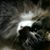 Linda Baker's profile image