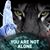 Annamarie Vinacco's profile image
