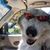 Tracey A. Smith's profile image