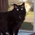 Lisa Billings's profile image