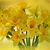Sherry Wilson Russell's profile image