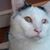 Maria L Courteau's profile image