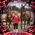 Jamie Bice's profile image
