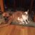 Carol Weldin's profile image
