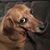 Judy Roehm's profile image