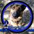 Josey Wales's profile image