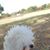 Lourdes Lira's profile image