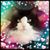 Alisha Jett Christian's profile image