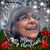 Terri Cerrito's profile image