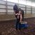 Sara McDonald's profile image