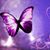 Sheila Anderson's profile image
