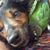 Billie Jo Murphy's profile image